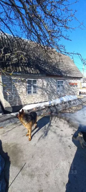 Участок в Курская область, Курск Имени Мичурина СНТ, 260 (6.3 сот.) - Фото 2