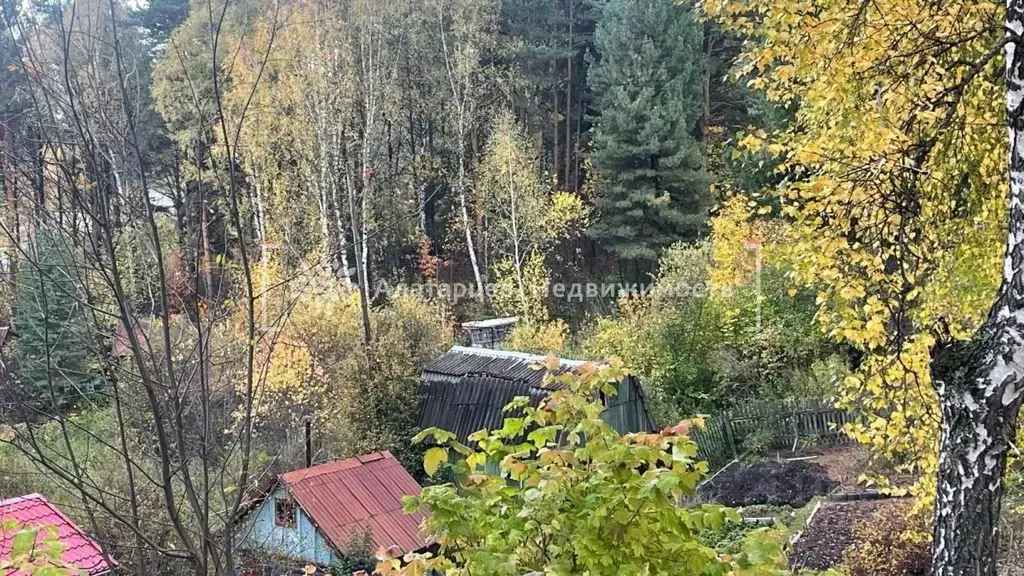 Участок в Томская область, Томский район, Богашевское с/пос, Лесник-1 ... - Фото 2