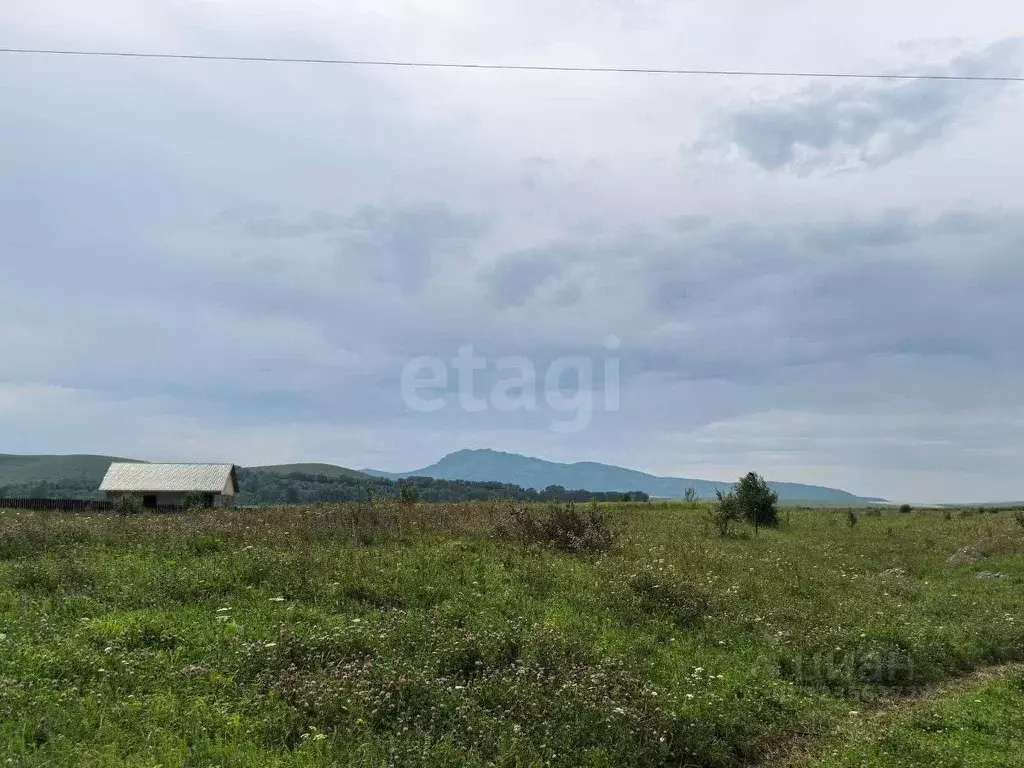 Участок в Алтайский край, Советский район, с. Платово  (12.0 сот.) - Фото 1