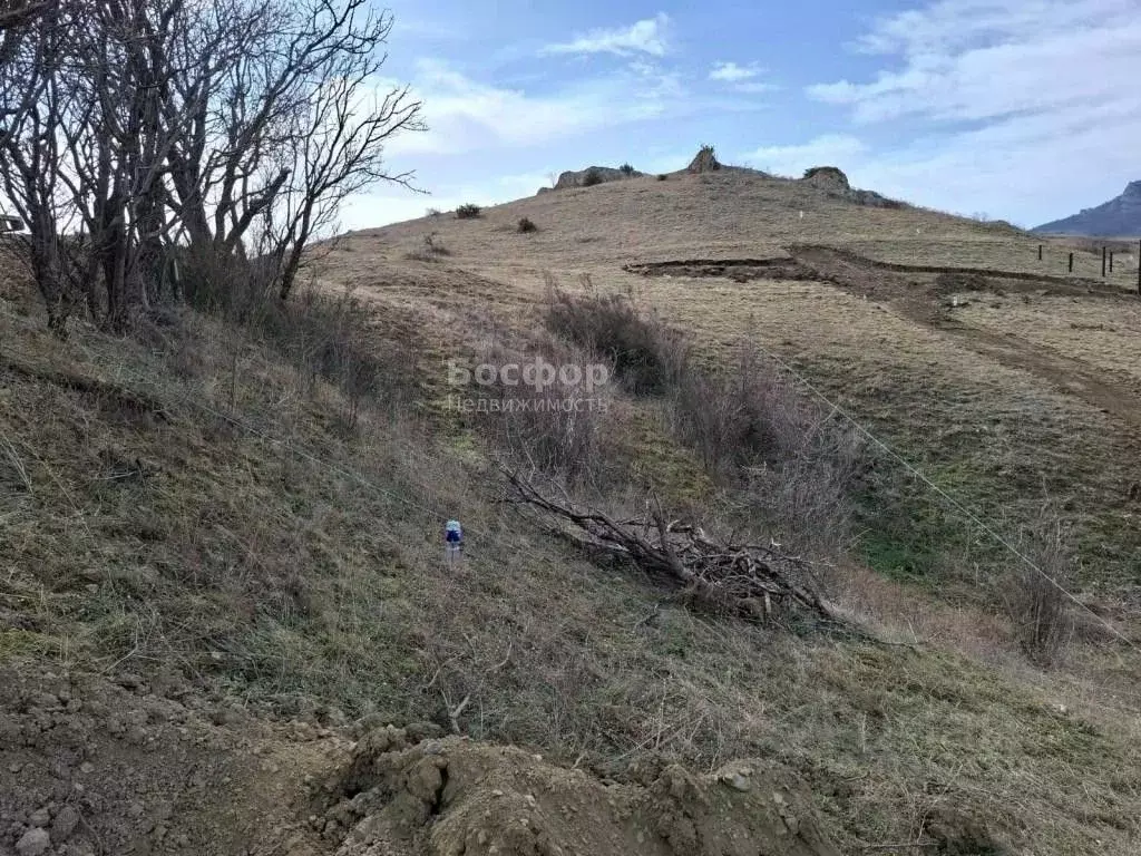 Участок в Крым, Феодосия городской округ, Курортное пгт ул. Науки (3.0 ... - Фото 0