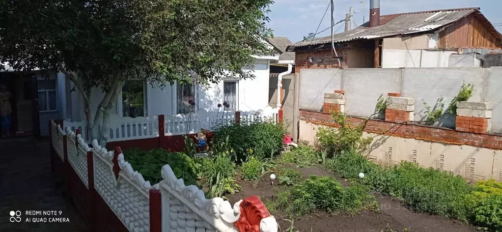 Дом в Орловская область, Орел ул. Ляшко, 48 (46 м) - Фото 1