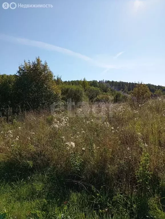 участок в вологодская область, грязовецкий муниципальный округ, село . - Фото 1