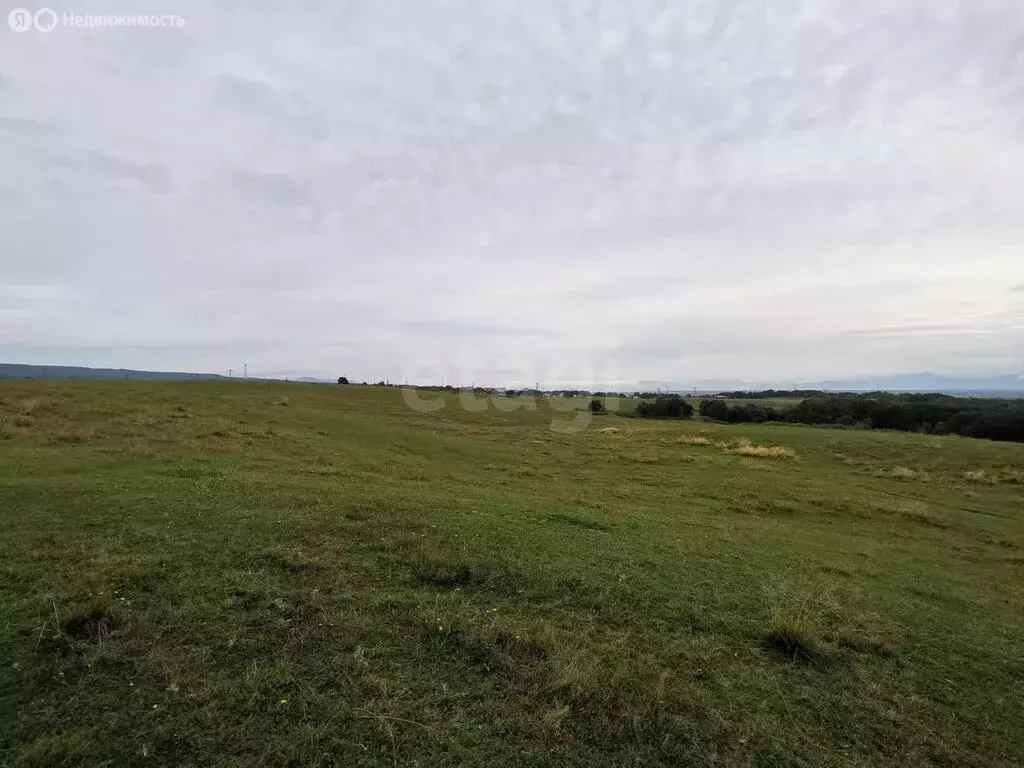 Участок в Камчатский край, Елизовский муниципальный округ, посёлок ... - Фото 1