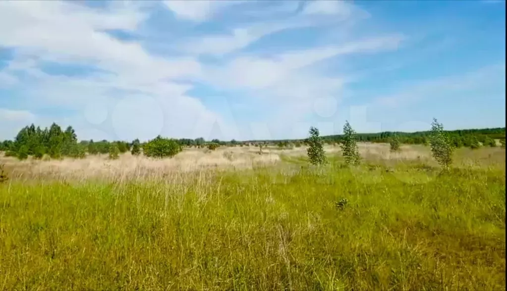 Участок 318,28 га (СНТ, ДНП) - Фото 0