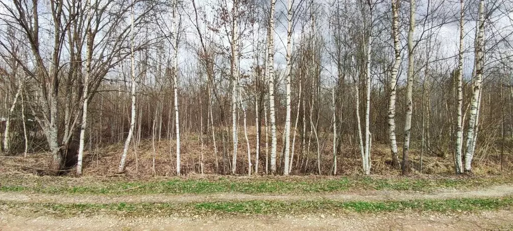 Участок в Новгородская область, Новгородский муниципальный район, ... - Фото 1