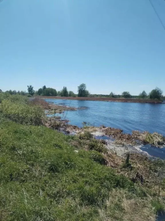 Участок в Ярославская область, Мышкинский муниципальный округ, д. ... - Фото 2