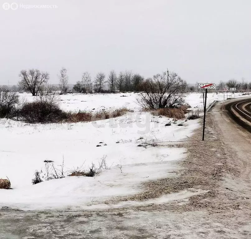 Участок в Брянский район, Отрадненское сельское поселение, село ... - Фото 0