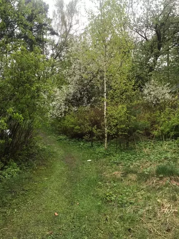 Комната Московская область, Раменский муниципальный округ, Ильинский ... - Фото 2