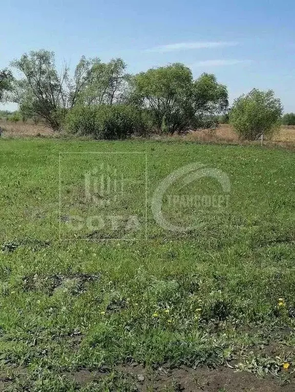 Участок в Воронежская область, Новоусманский район, Усманское 1-е ... - Фото 2