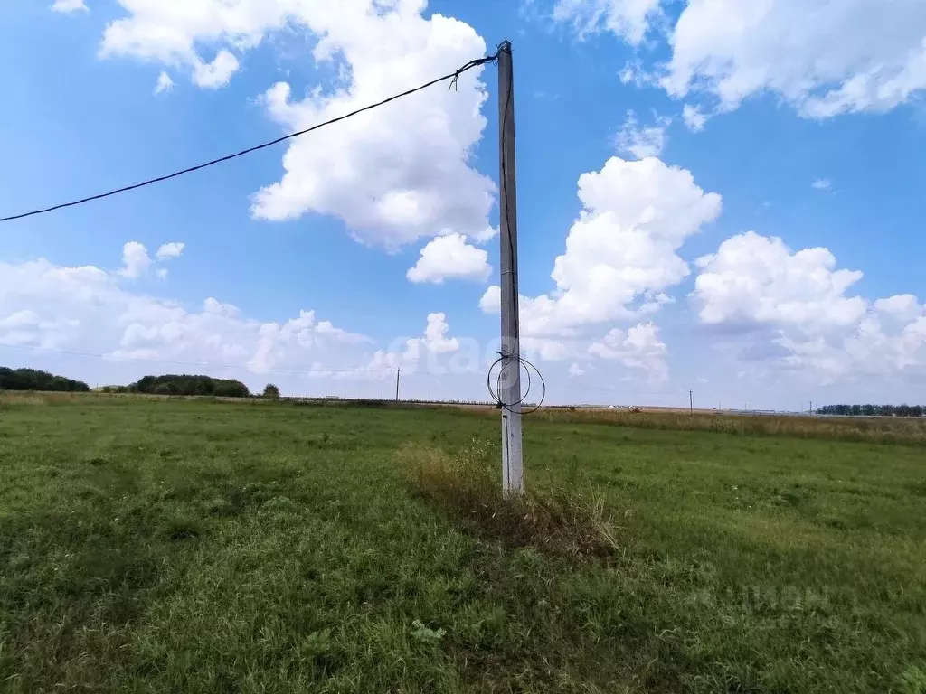 Купить Дом Рогачевка Новоусманский Район