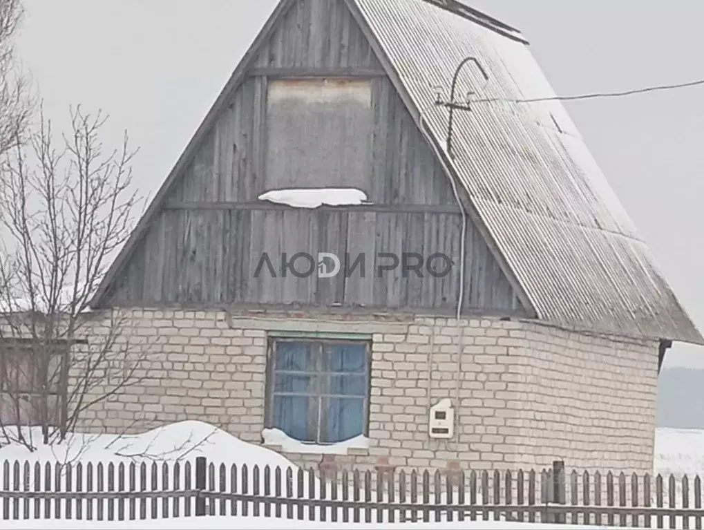 Дом в Алтайский край, Павловский район, с. Черемное Совхозная ул., 209 ... - Фото 2