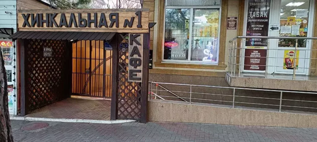 Помещение свободного назначения в Краснодарский край, Геленджик ... - Фото 2