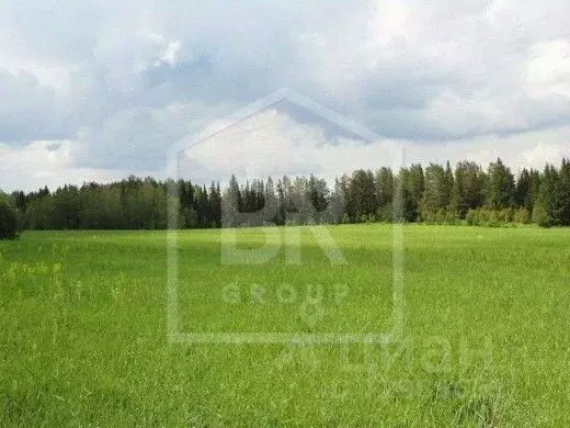 Участок в Ленинградская область, Всеволожский район, Лесколовское ... - Фото 0