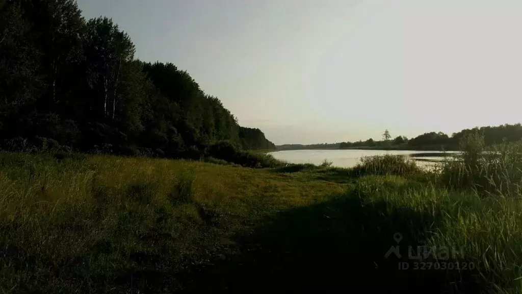 Участок в Вологодская область, д. Грибцово  (25.0 сот.) - Фото 2