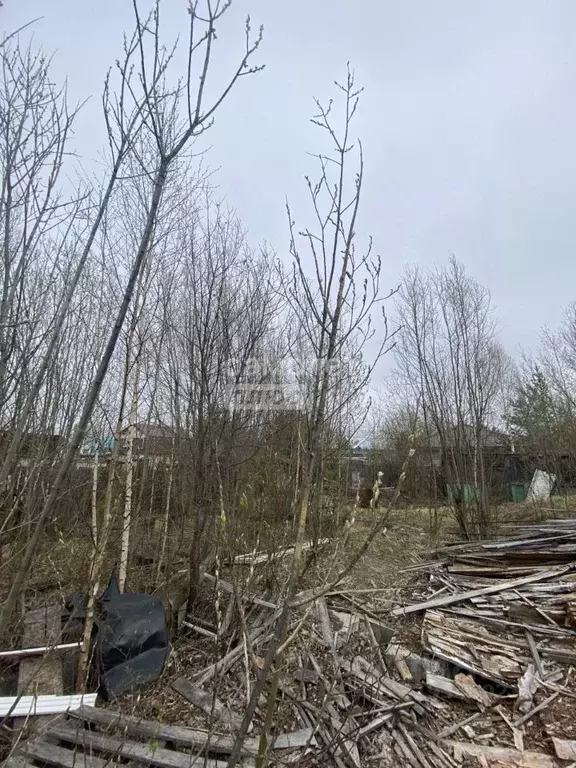 Участок в Ханты-Мансийский АО, Сургут Виктория садовое товарищество, ... - Фото 1