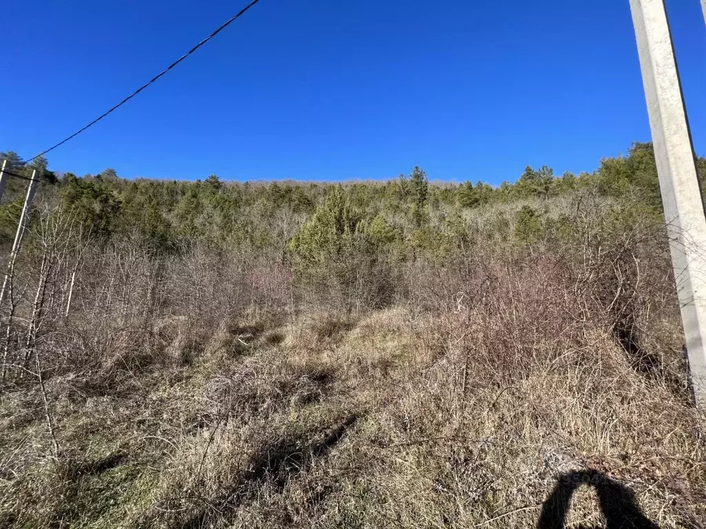 Участок в Краснодарский край, Геленджик городской округ, с. ... - Фото 2