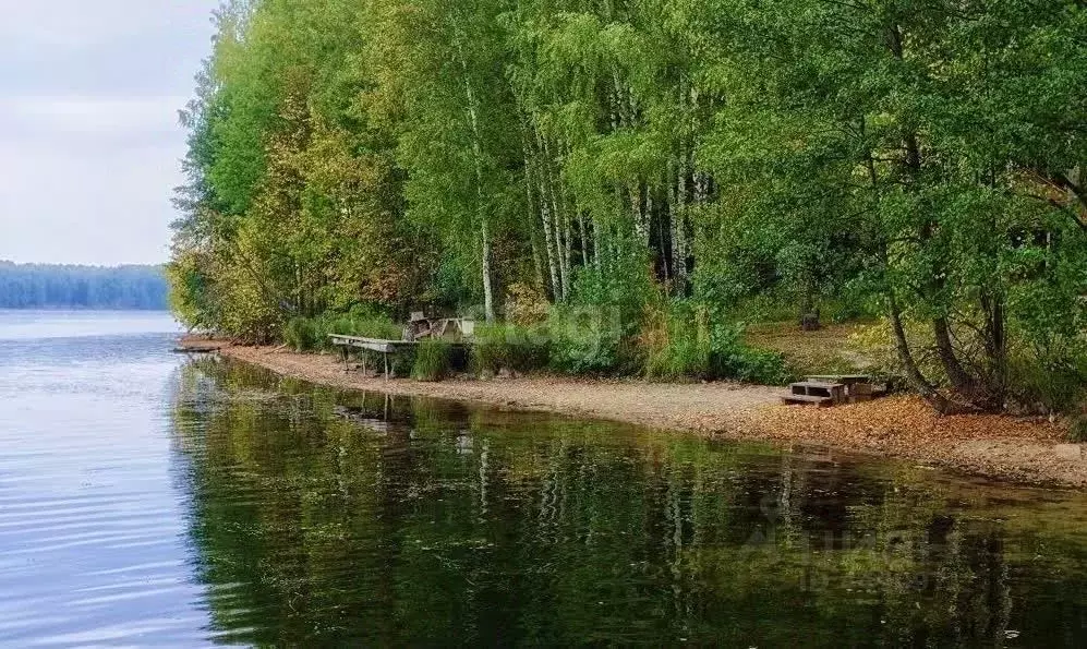 Десногорское Водохранилище Отдых Фото