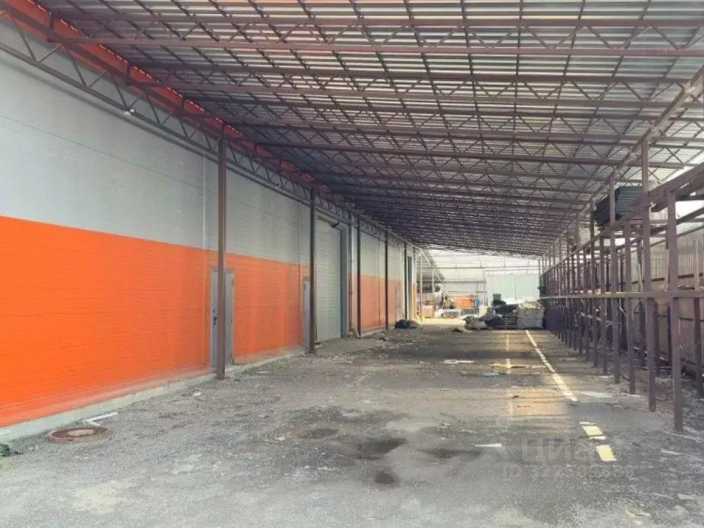 Склад в Московская область, Лосино-Петровский ул. Чкалова, 42к1 (4227 ... - Фото 1