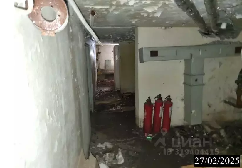 Помещение свободного назначения в Нижегородская область, Нижний ... - Фото 1