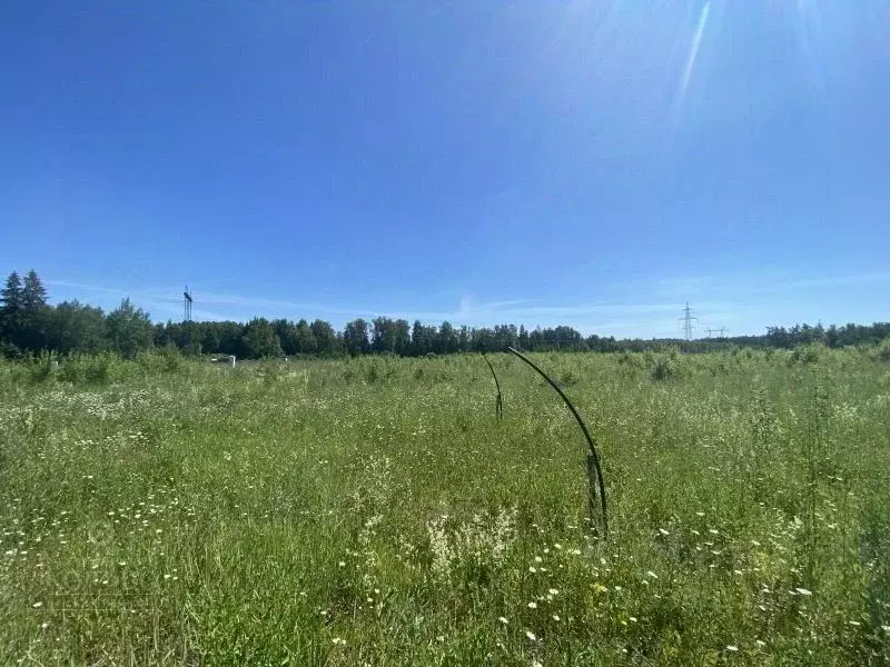 Участок в Московская область, Клин городской округ, д. Щекино, ... - Фото 2