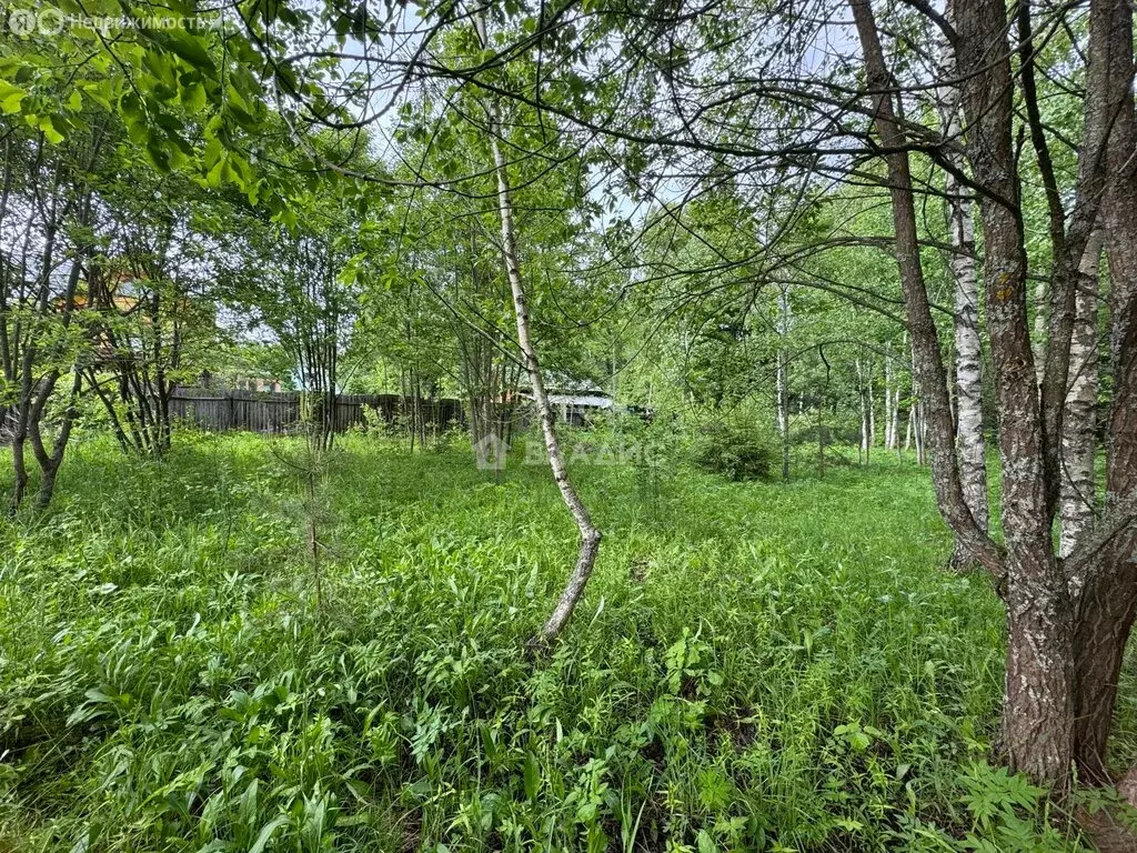 Участок в Сергиево-Посадский городской округ, СНТ Склон, 2 (18 м) - Фото 2