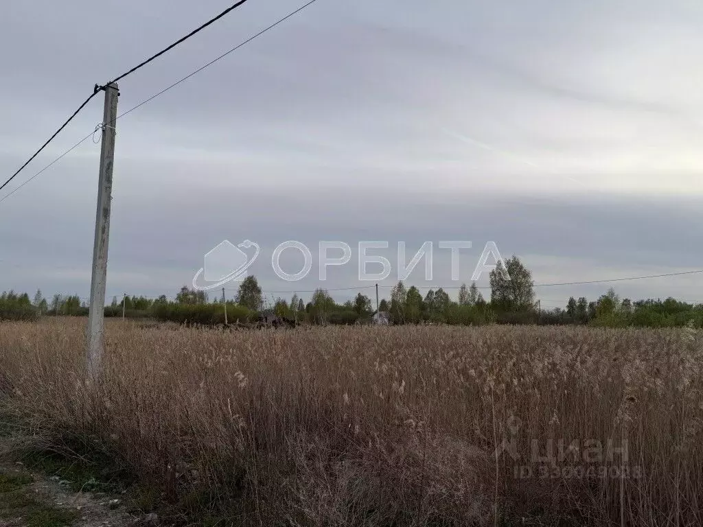 Участок в Тюменская область, Тюмень Поле Чудес садовое товарищество, ... - Фото 2