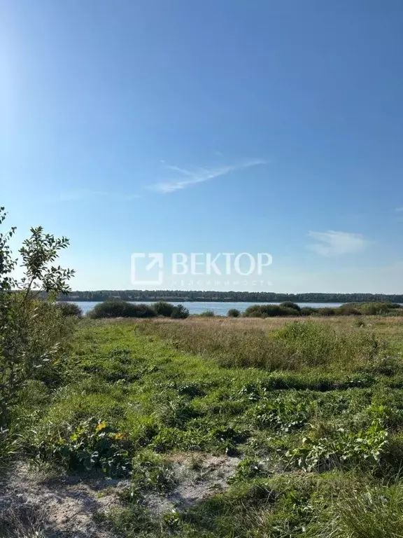 Участок в Ивановская область, Ивановский район, Беляницкое с/пос, д. ... - Фото 1