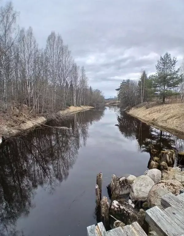 Участок в Ленинградская область, Выборгский район, Селезневское с/пос, ... - Фото 1