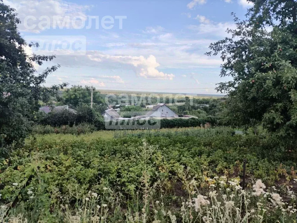 Участок в Липецкая область, Липецкий муниципальный округ, с. Сырское ... - Фото 1