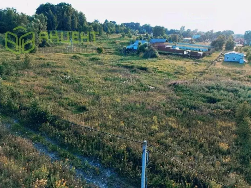 Участок в Московская область, Серпухов городской округ, д. Тульчино ... - Фото 2
