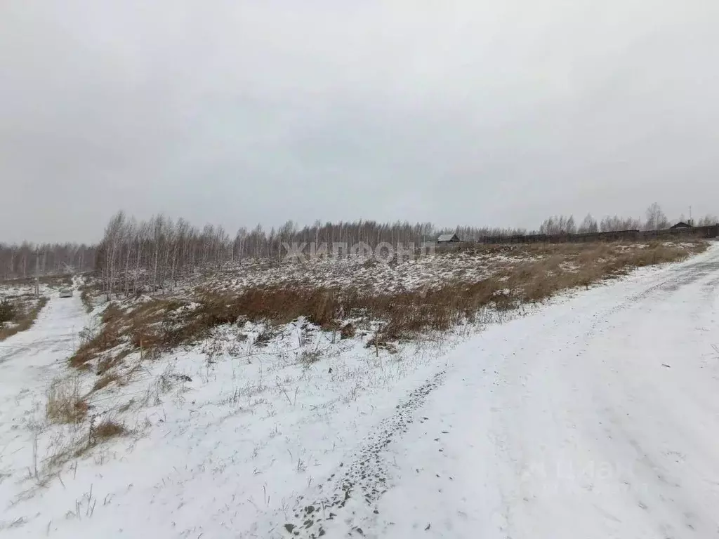 Участок в Новосибирская область, Новосибирский район, Станционный ... - Фото 0