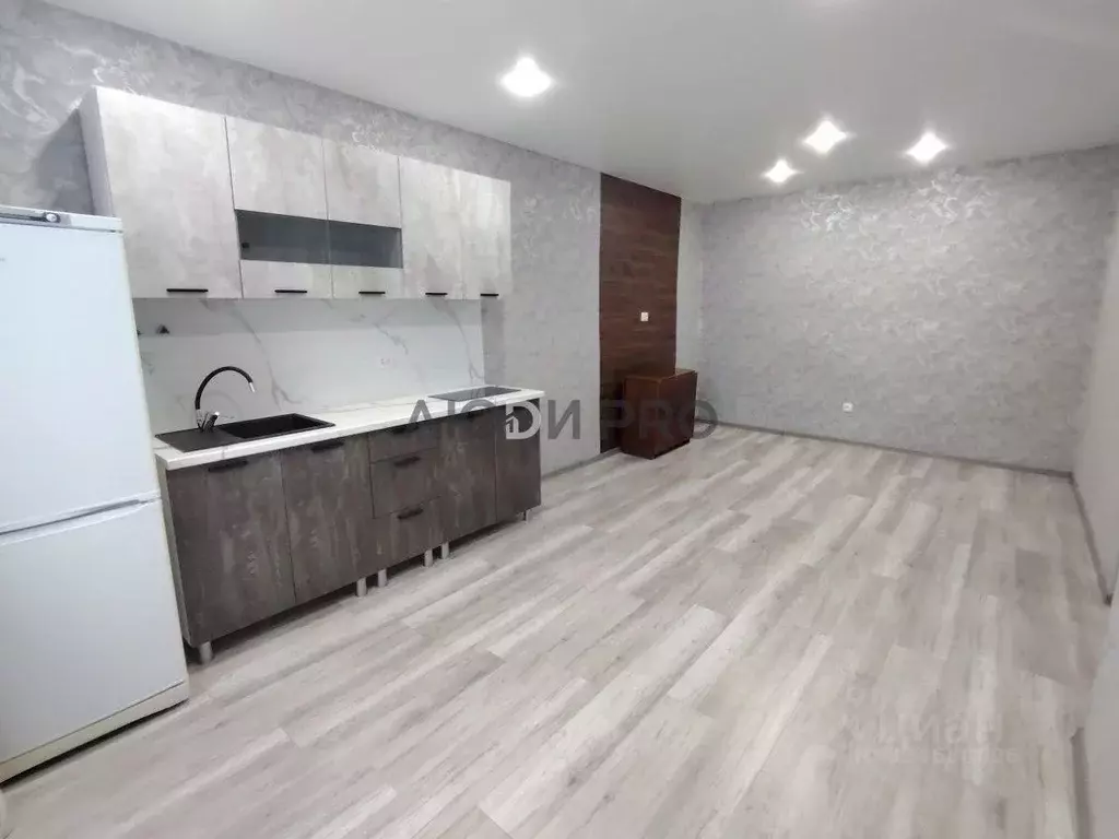 2-к кв. Алтайский край, Барнаул ул. Анатолия, 315 (36.3 м) - Фото 2