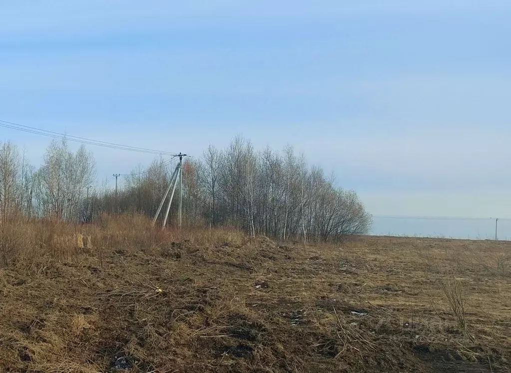 Участок в Хабаровский край, Хабаровский район, с. Краснореченское  ... - Фото 2