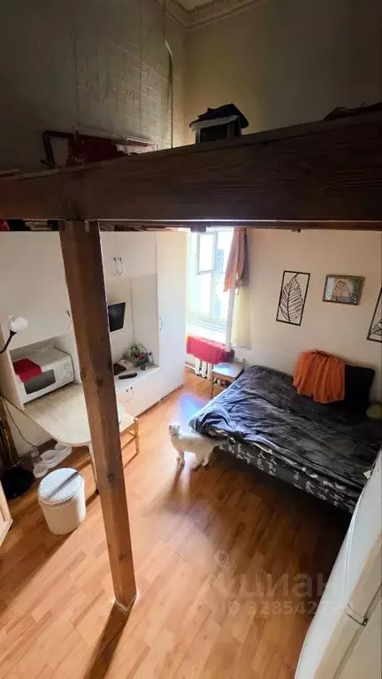 Комната Санкт-Петербург просп. Малый Васильевского острова, 10/62 ... - Фото 2