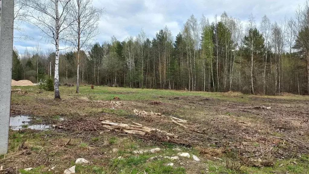 Участок в Московская область, Богородский городской округ, д. ... - Фото 2
