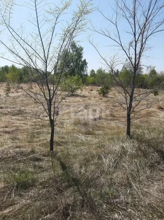 Участок в Курганская область, Шадринск Тюменская ул. (10.3 сот.) - Фото 1