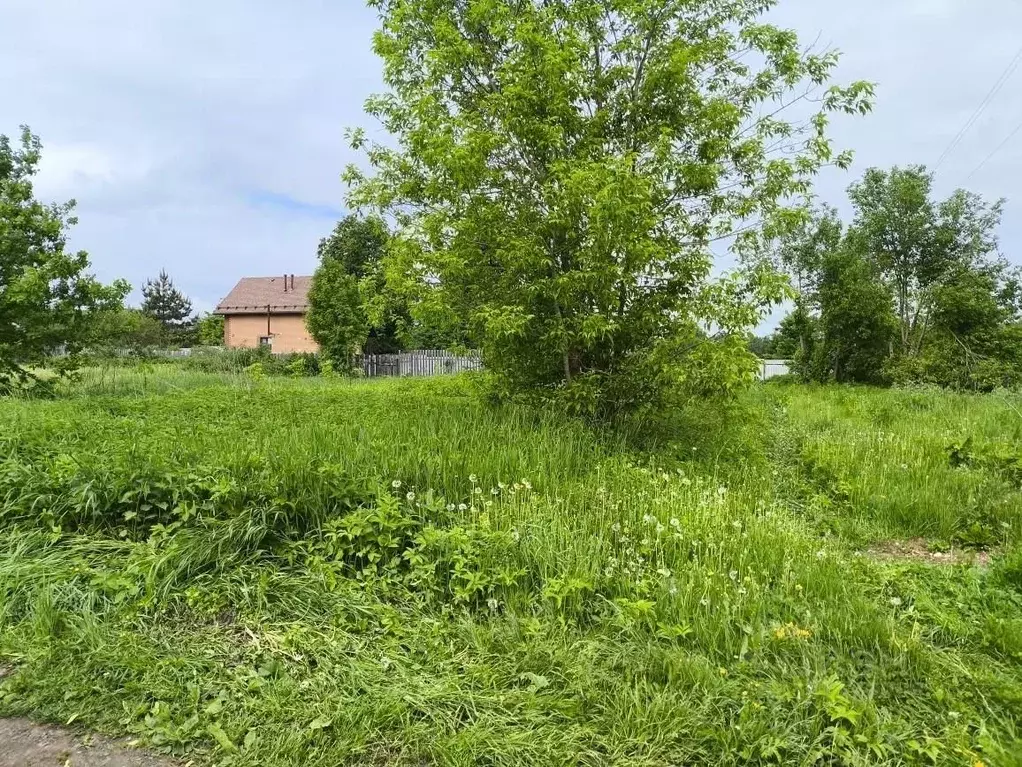 Участок в Московская область, Клин городской округ, д. Полушкино  ... - Фото 1