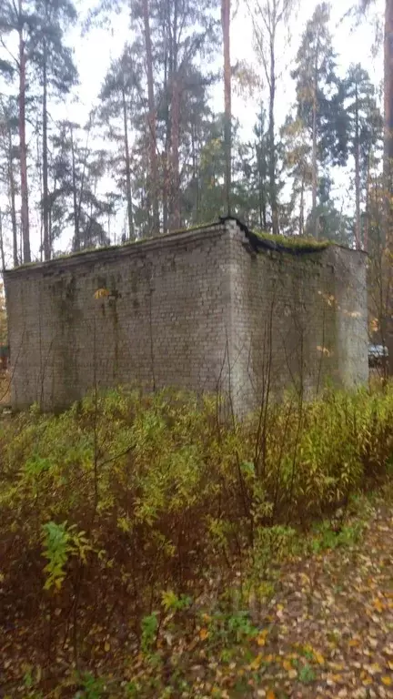 Гараж в Тверская область, Максатиха пгт ул. Санаторная, 5 (52 м) - Фото 2