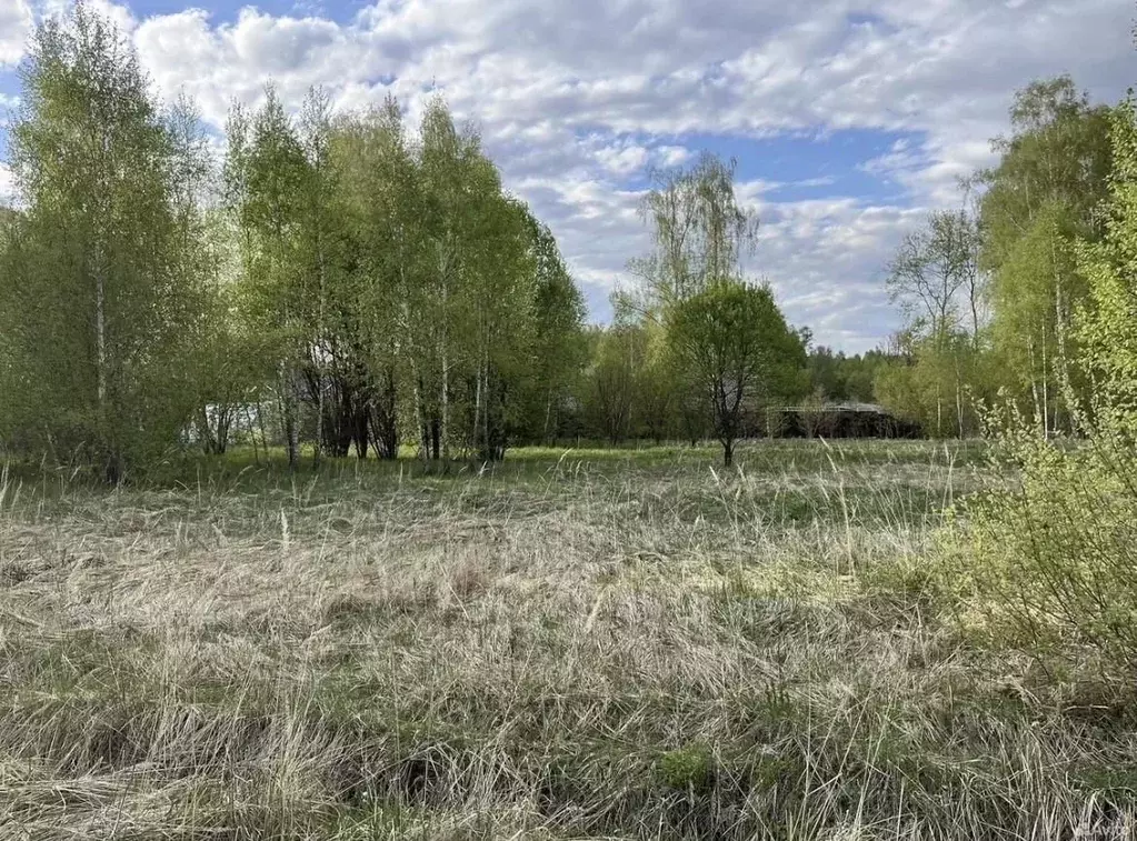 Участок в Тульская область, Заокский район, Страховское с/пос, ... - Фото 1