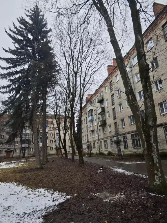 1-к кв. Московская область, Воскресенск Лопатинский мкр, ул. ... - Фото 1