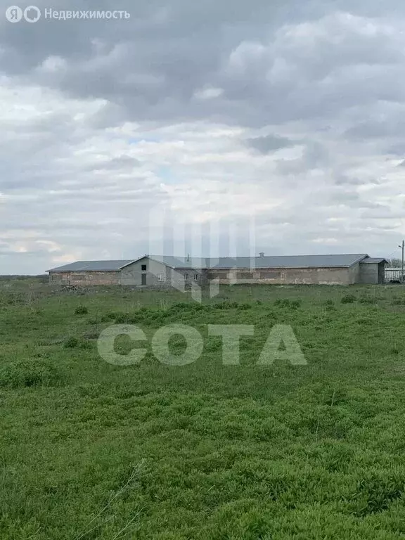 Помещение свободного назначения (150 м) - Фото 1