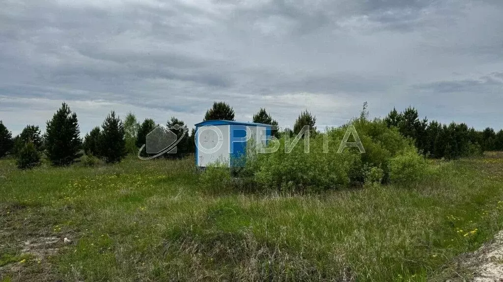 Участок в Тюменская область, Тюменский район, Новокаменский кп ул. ... - Фото 2