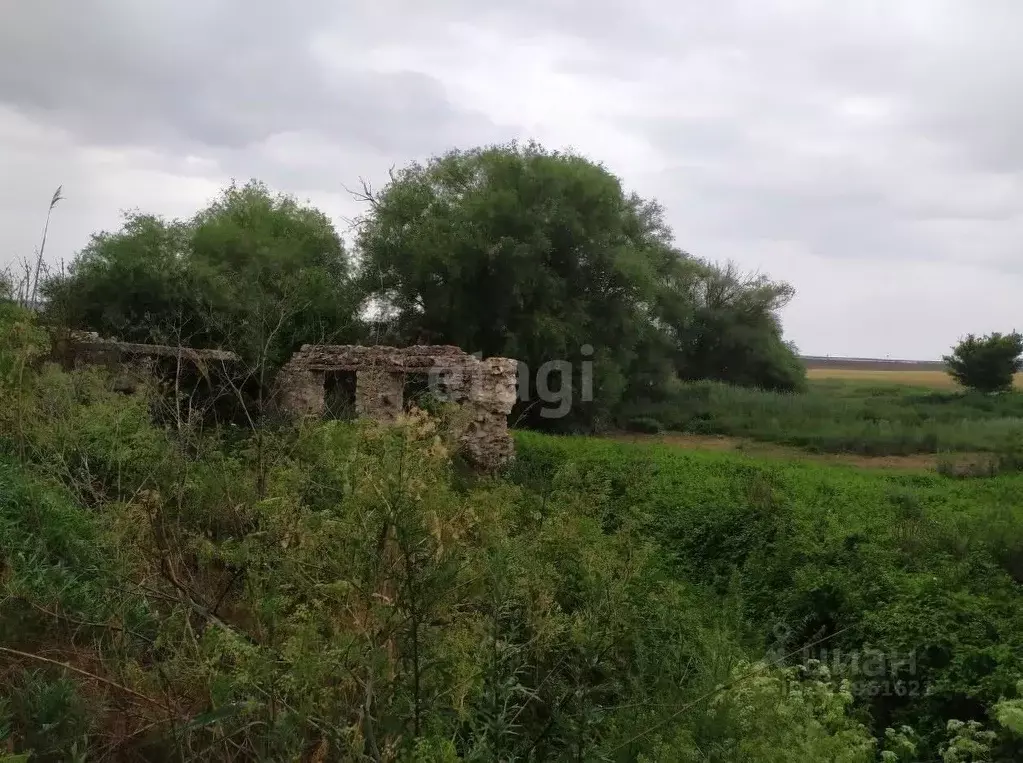 Участок в Крым, Кировский район, с. Приветное ул. Золотой ключ (358.3 ... - Фото 1