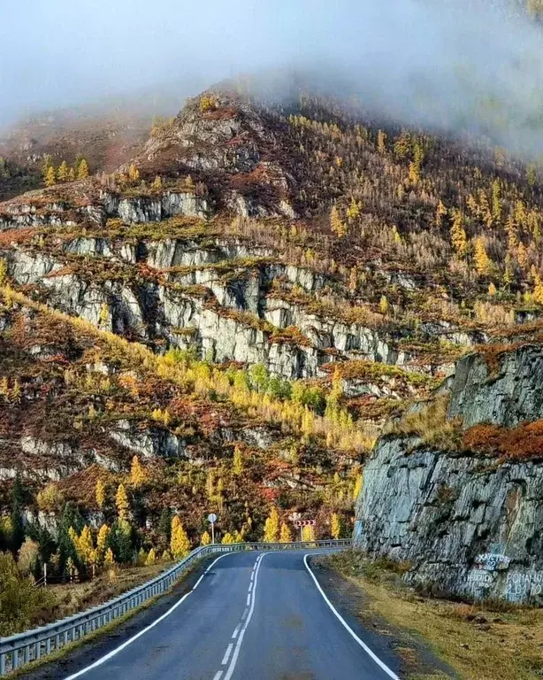 Участок в Алтай, Улаганский район, с. Акташ ул. Карла Маркса (82.0 ... - Фото 2