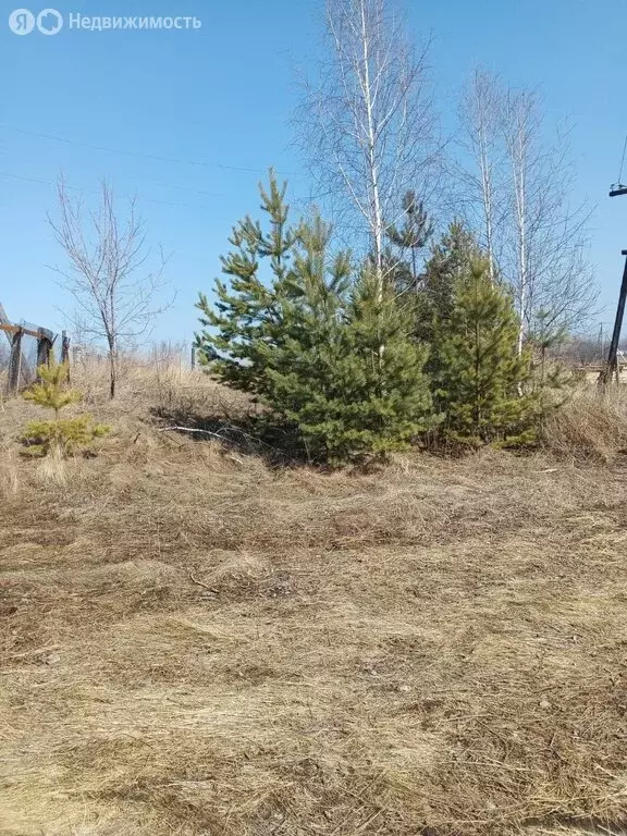 Участок в село Частоостровское, Боровая улица (17 м) - Фото 0