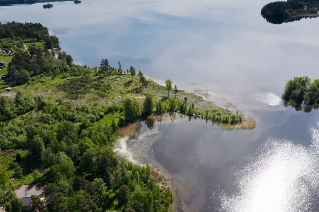 Участок в Ленинградская область, Приозерский район, Громовское с/пос, ... - Фото 1