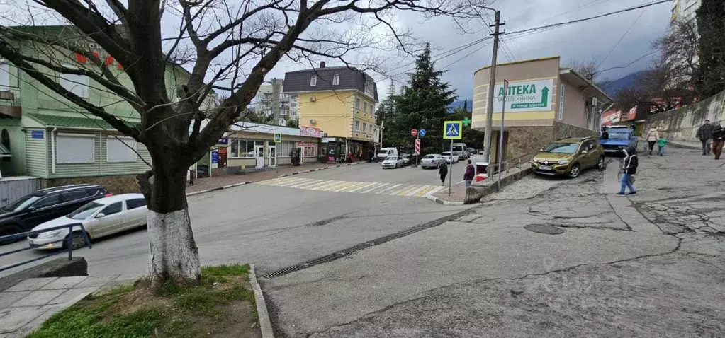 Помещение свободного назначения в Крым, Ялта ул. Тимирязева, 37 (22 м) - Фото 0