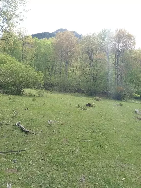 Участок в Карачаево-Черкесия, Теберда Карачаевский городской округ, ... - Фото 1