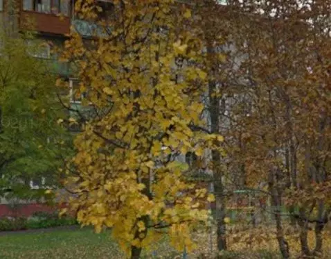 Свободной планировки кв. Московская область, Воскресенск Лопатинский ... - Фото 1