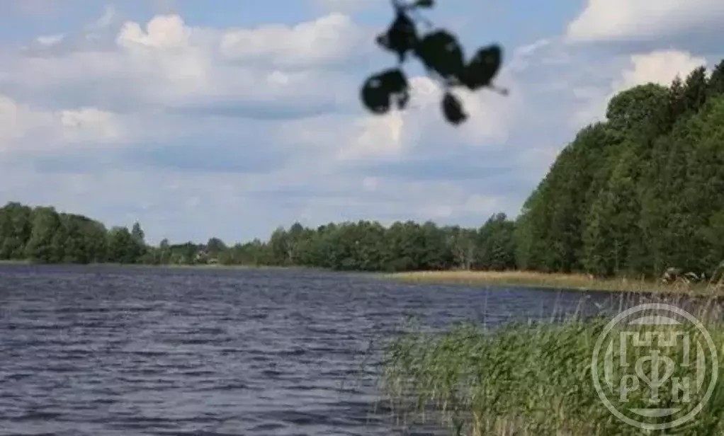 Участок в Ленинградская область, Лужский район, Володарское с/пос, ... - Фото 1